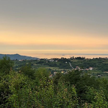Guesthouse Green Istria Truške Kültér fotó