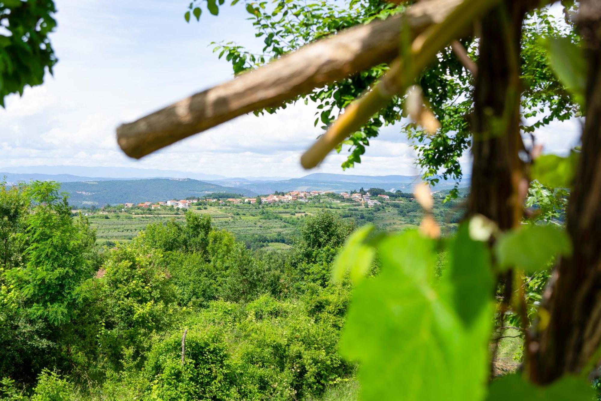 Guesthouse Green Istria Truške Kültér fotó