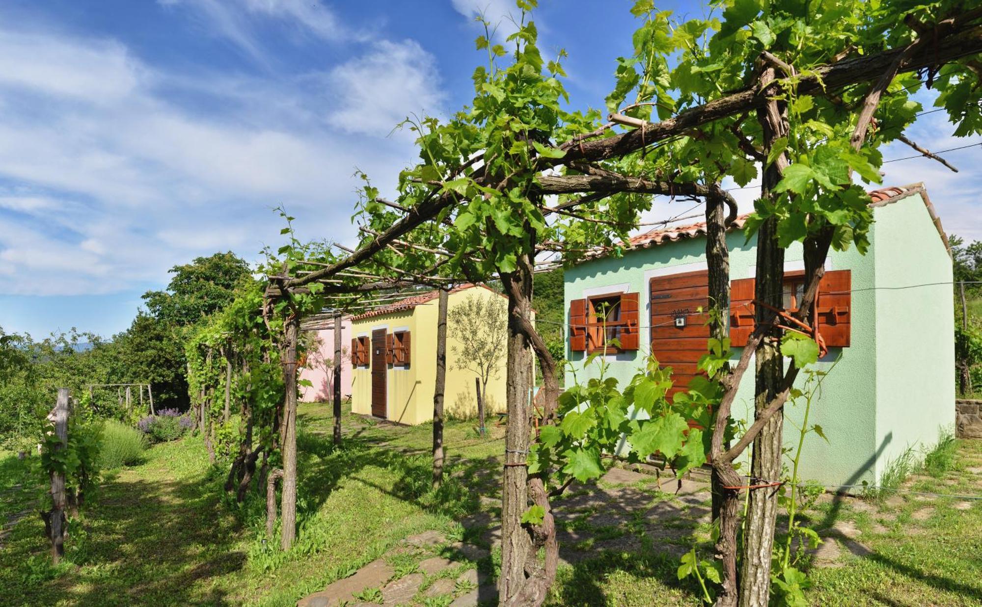 Guesthouse Green Istria Truške Kültér fotó