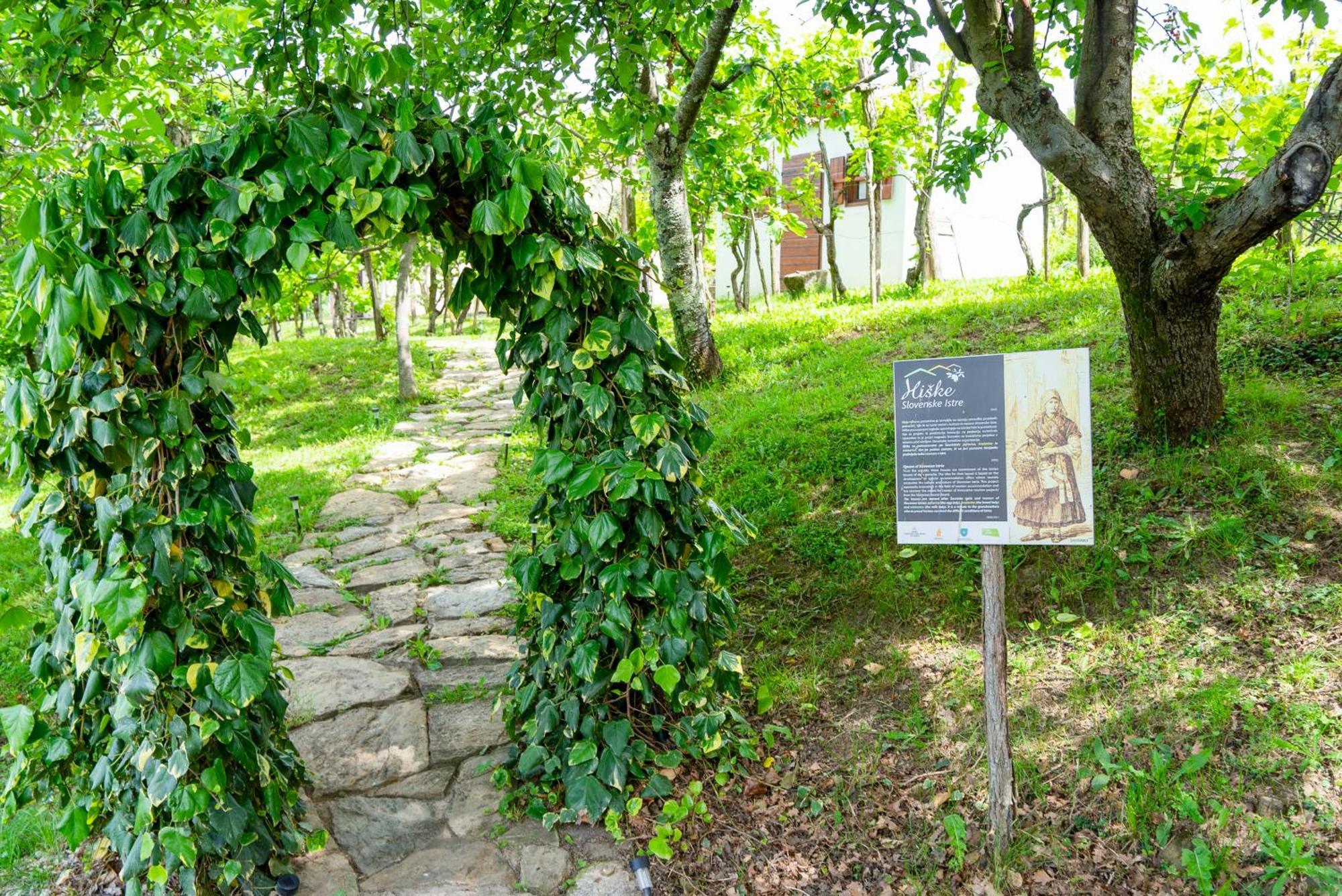 Guesthouse Green Istria Truške Kültér fotó