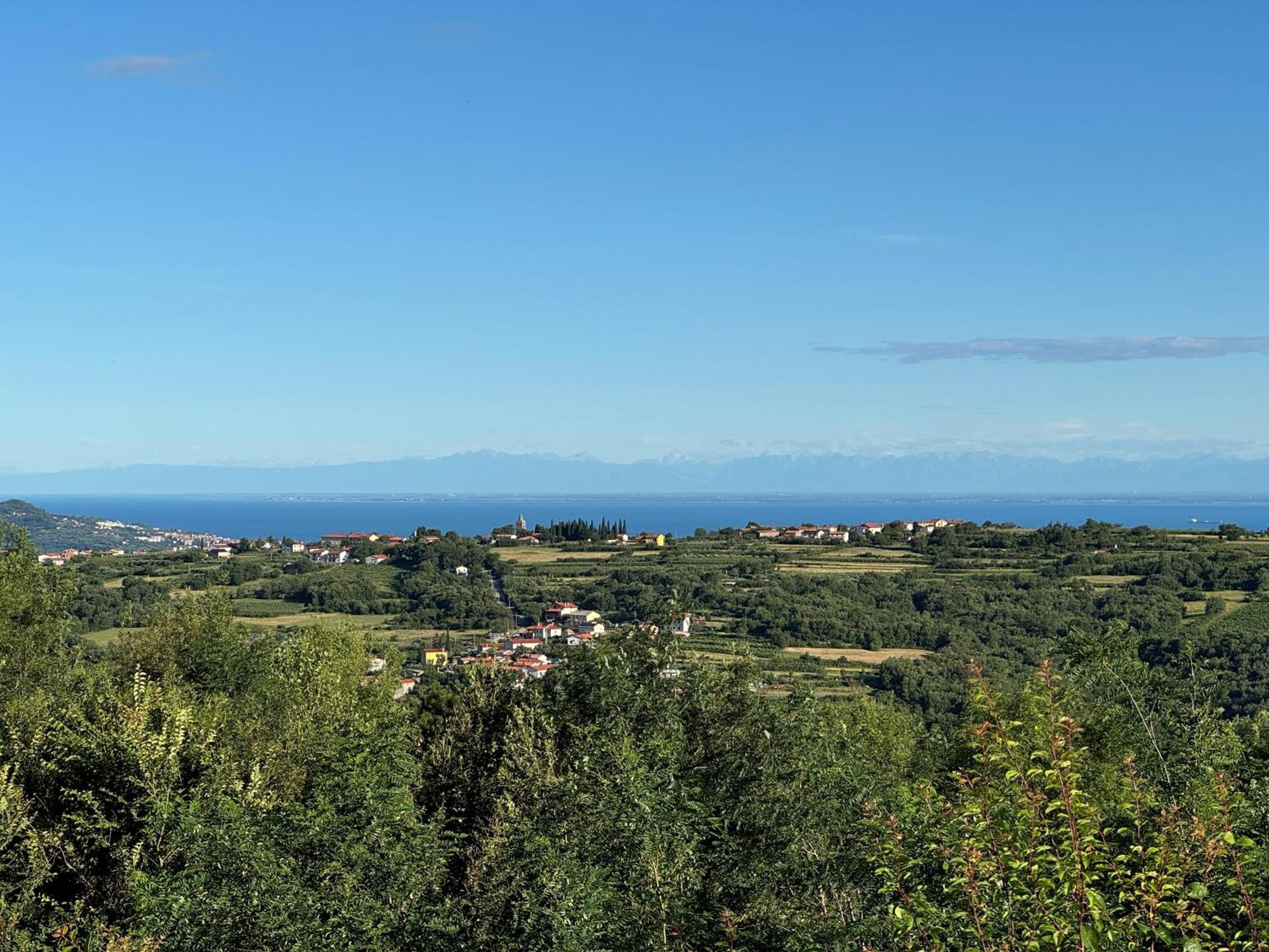 Guesthouse Green Istria Truške Kültér fotó