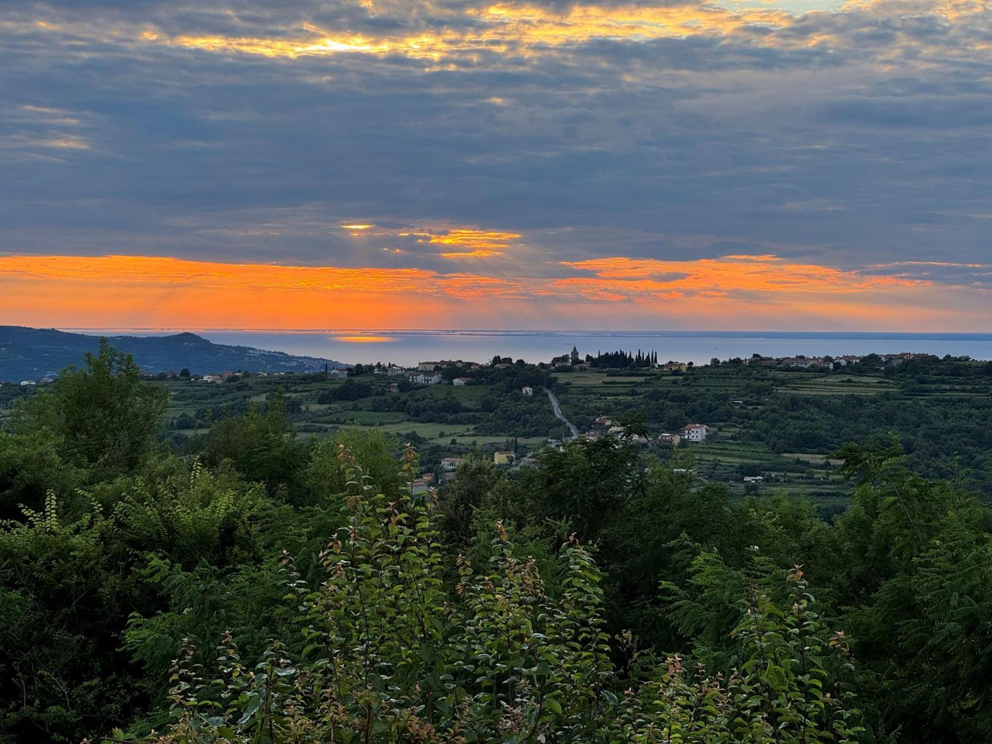 Guesthouse Green Istria Truške Kültér fotó