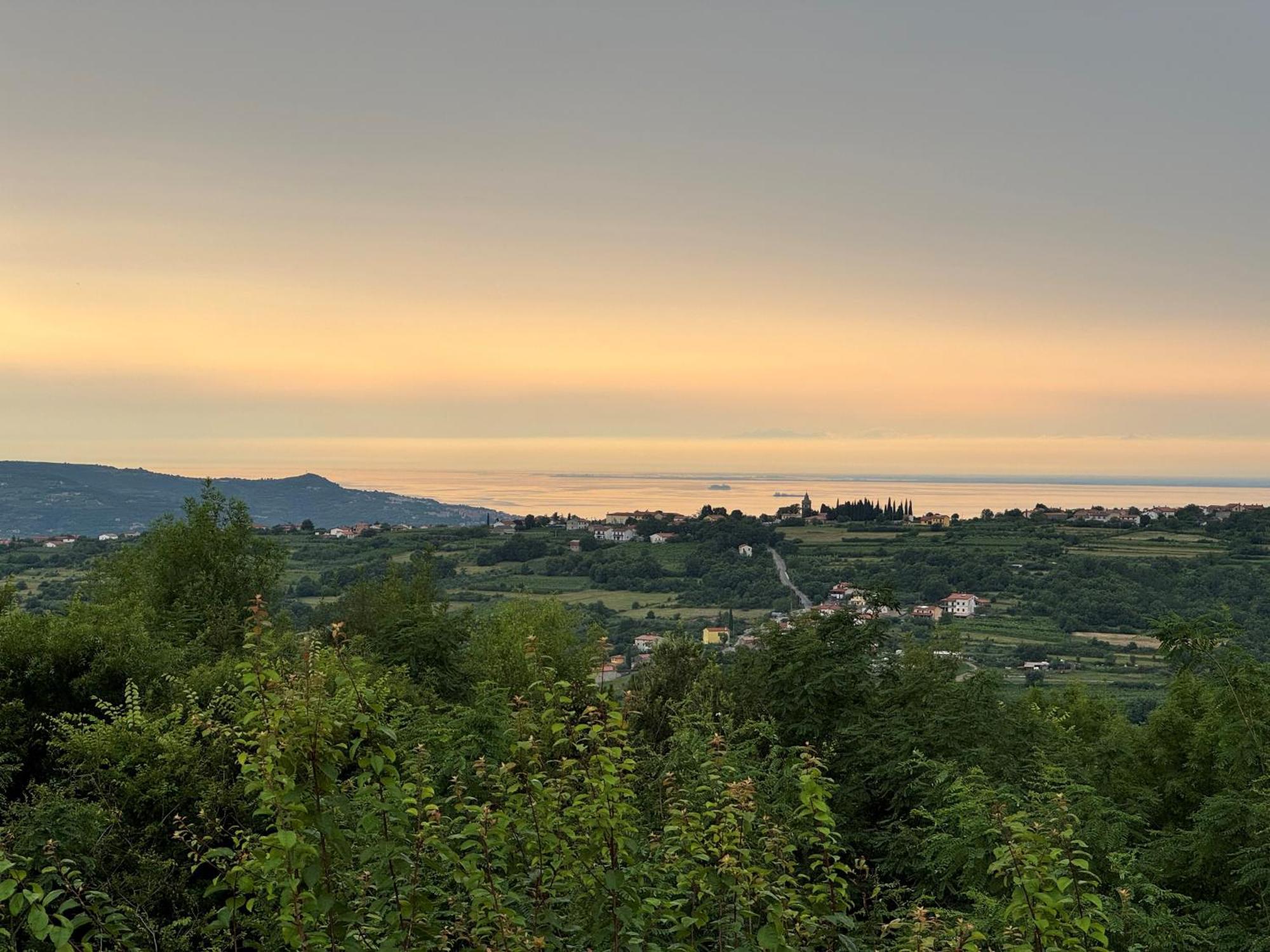 Guesthouse Green Istria Truške Kültér fotó
