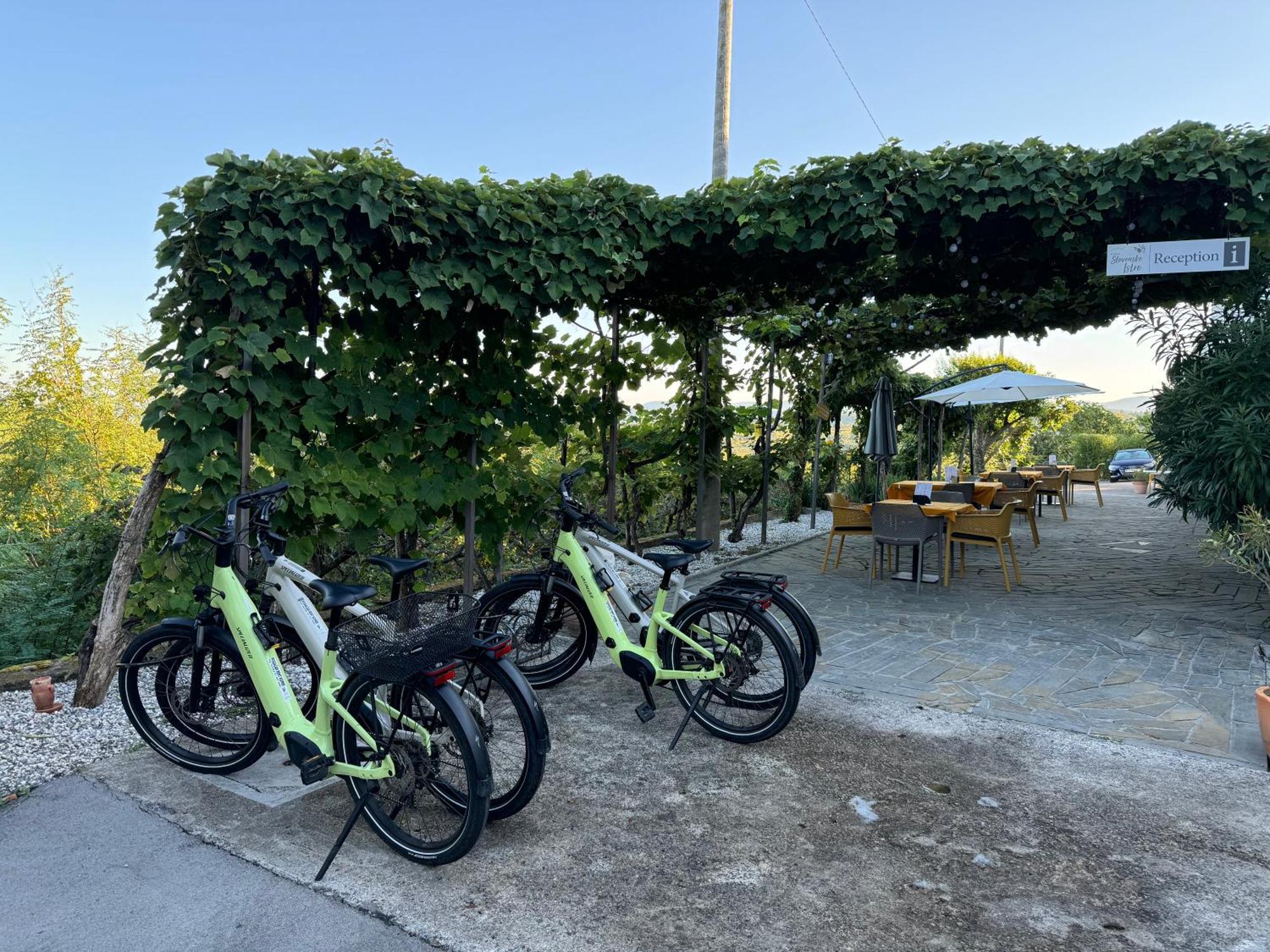 Guesthouse Green Istria Truške Kültér fotó