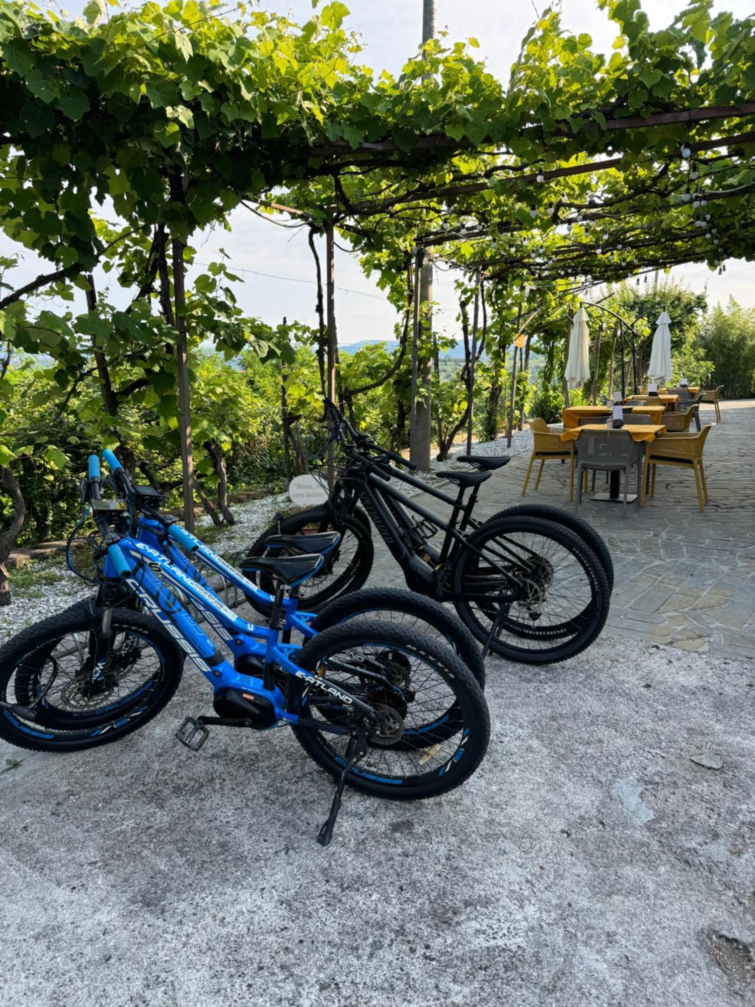 Guesthouse Green Istria Truške Kültér fotó