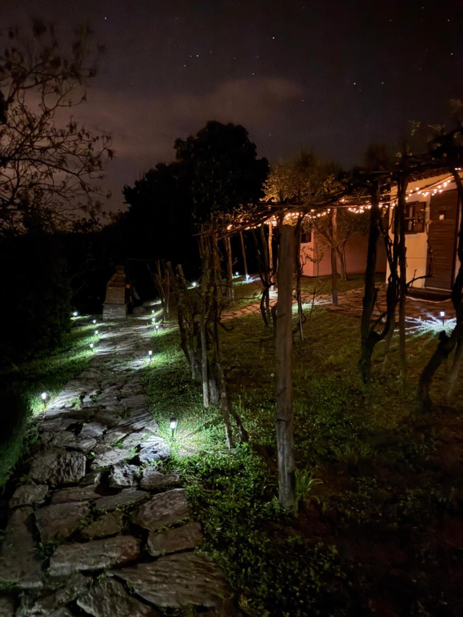 Guesthouse Green Istria Truške Kültér fotó