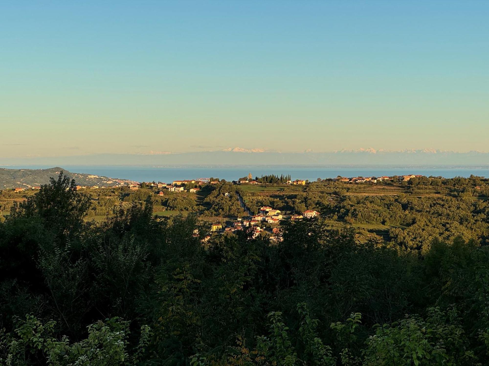 Guesthouse Green Istria Truške Kültér fotó