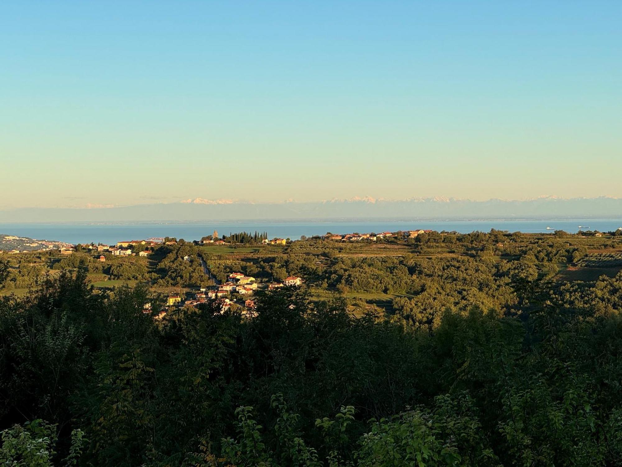 Guesthouse Green Istria Truške Kültér fotó